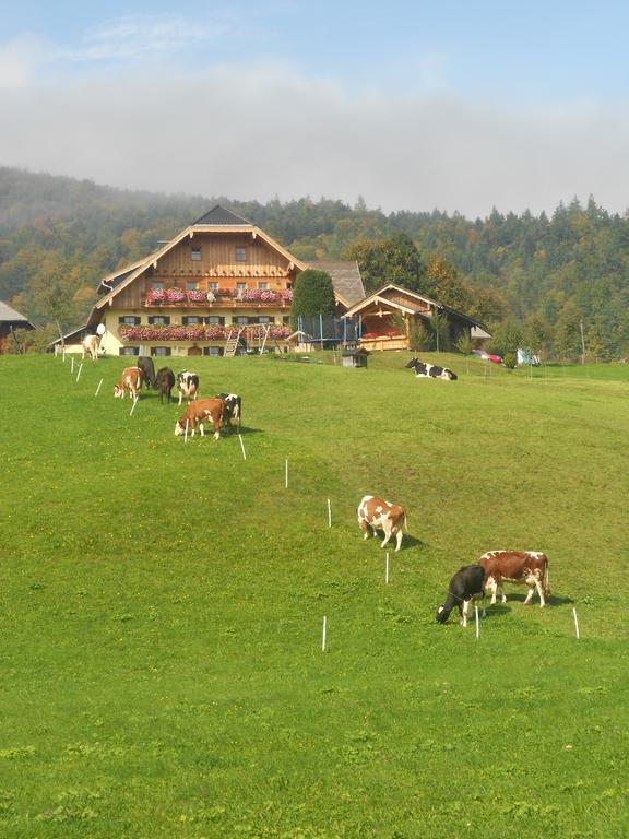 Paulbauer Villa Saint Wolfgang Exterior foto